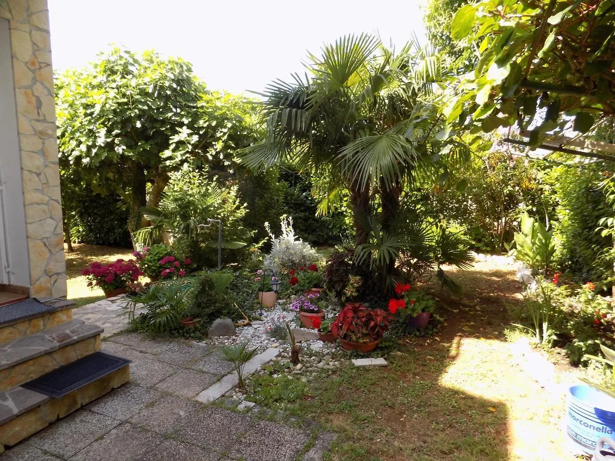 Oriella Apartmans And Room Novigrad Istria